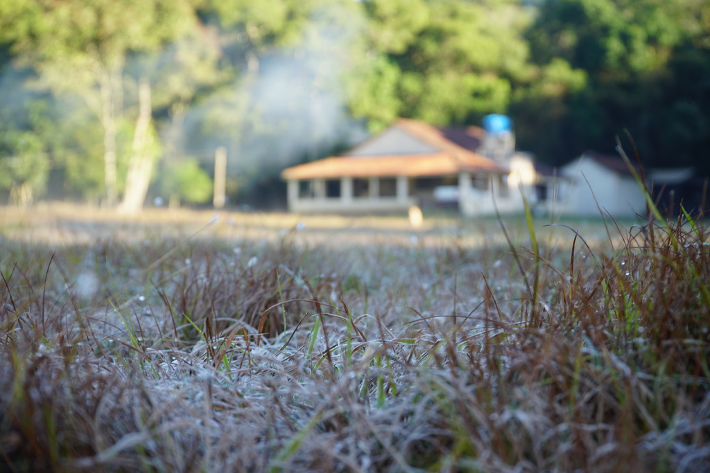 Semana deve iniciar com mínima de 4°C, e há possibilidade de geada na Região Central; confira a previsão do tempo