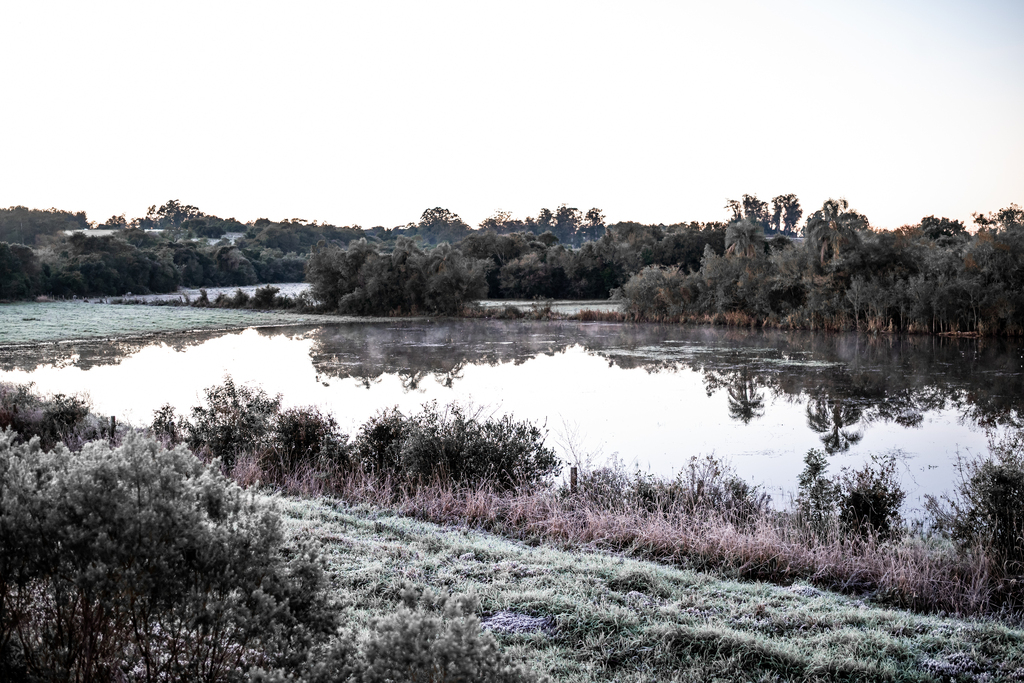 Foto: Vinicius Becker (Diário) - Na BR-287, a geada cobriu os campos.