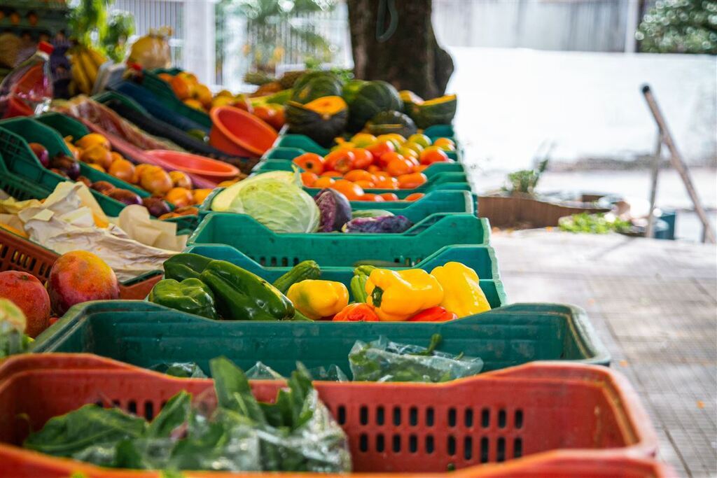 Frutas, verduras e produtos coloniais: veja a agenda de feiras desta semana em Santa Maria