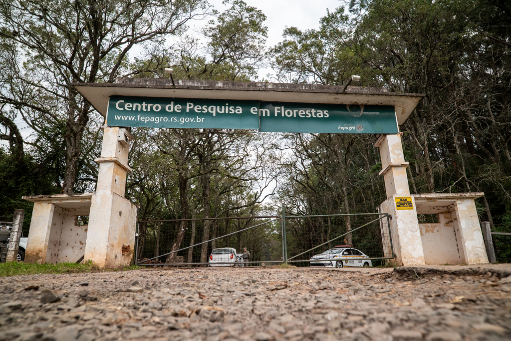 Indígenas que ocupam área em Santa Maria estariam sem energia elétrica, e chuveiros teriam sido retirados do local; Secretaria de Agricultura nega corte de luz
