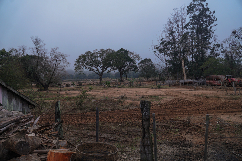 Galeria de imagens: Onde agora é coberto por areia, antes pastos serviam como alimentação para o gado que teve que ser vendido