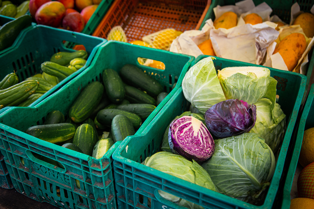 Foto: Nathália Schneider (Diário/Arquivo) - As iniciativas são promovidas pela Prefeitura com objetivo de fortalecer a economia rural e valorizar os produtores locais