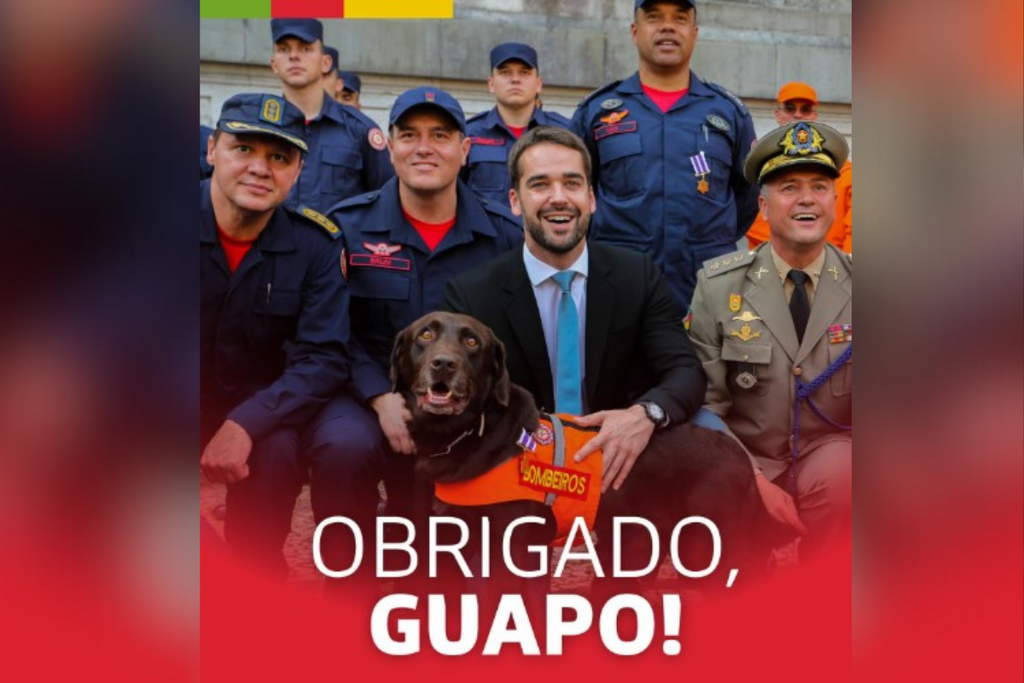 Eduardo Leite lamenta morte de Guapo, cão herói do Corpo de Bombeiros de Santa Maria