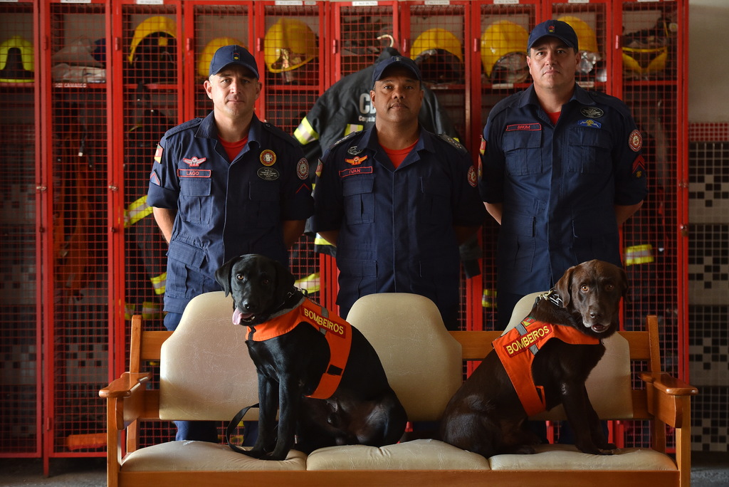 De Brumadinho até as enchentes no RS: relembre as missões mais marcantes do cão Guapo