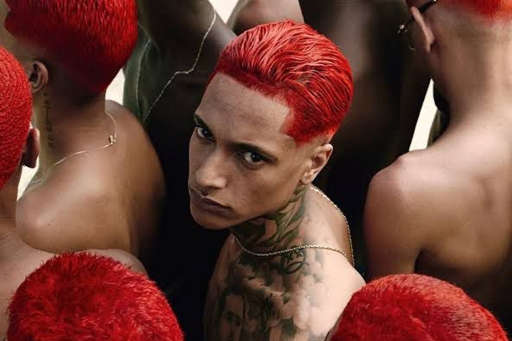 Foto: Reprodução - 