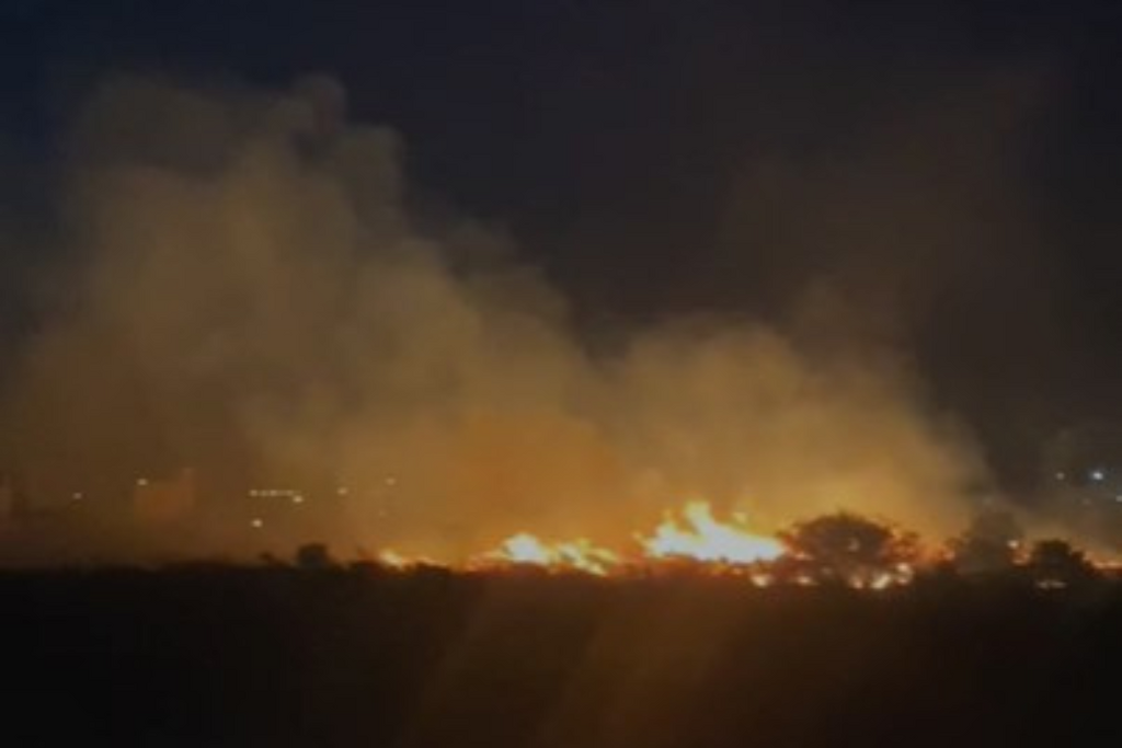 título imagem VÍDEO: Incêndio em vegetação mobiliza bombeiros no Bairro Pinheiro Machado em Santa Maria