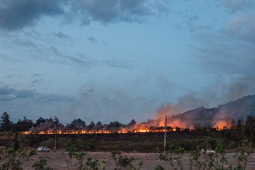 Bombeiros controlam incêndio em vegetação no Bairro Dom Antonio Reis