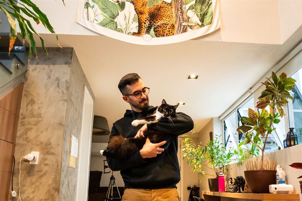 No Dia do Gato, a história de quem descobriu o amor felino por acaso