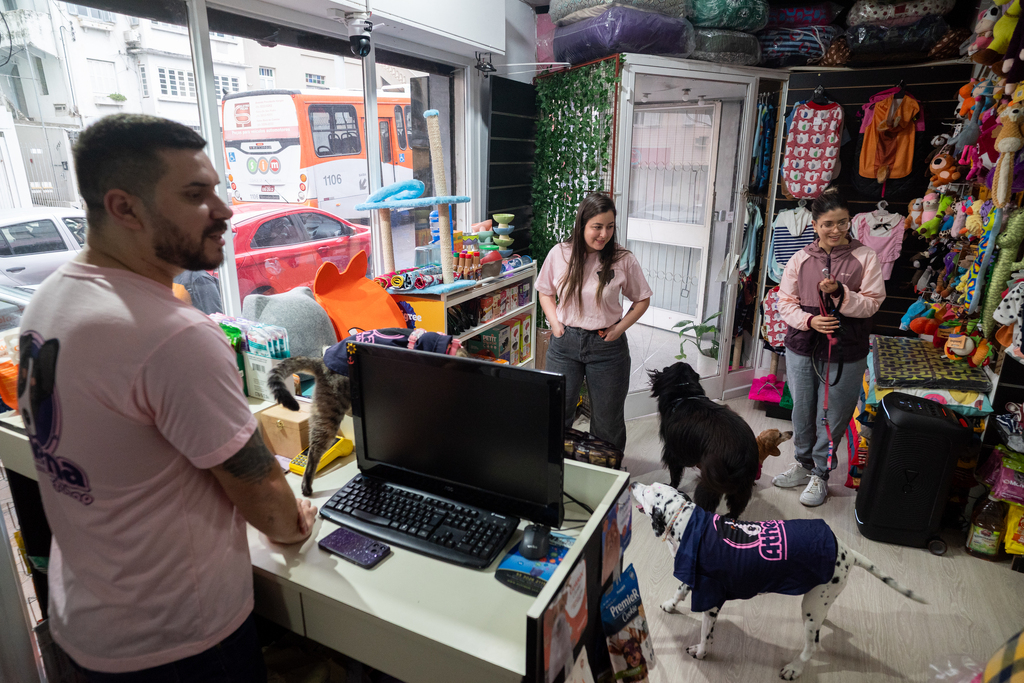Mercado bom para cachorro: setor pet cresce 52% no primeiro semestre deste ano em Santa Maria