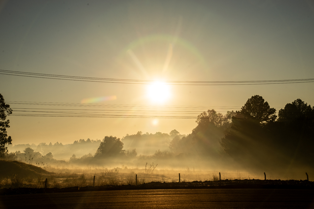 Foto: Vinicius Becker (Diário) - 