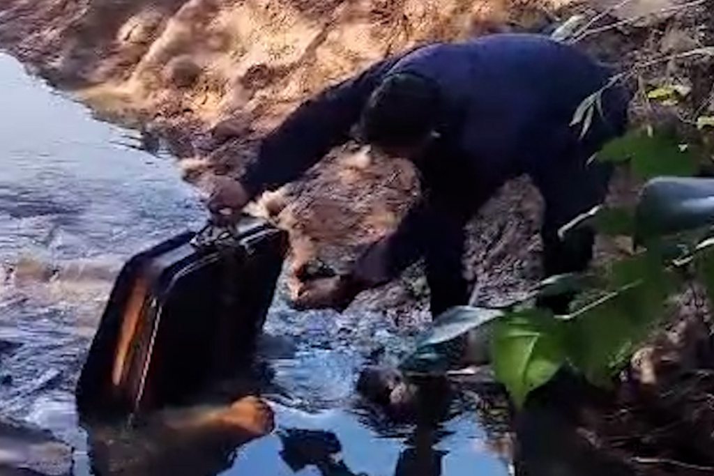 VÍDEO: Cachorrinha é resgatada após ser abandonada dentro de mala no Arroio Cadena em Santa Maria