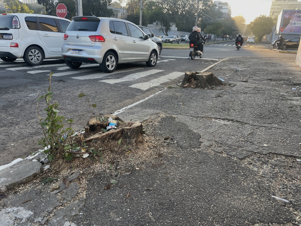 Prefeitura retira árvores doentes no Bairro Patronato e promete plantio de 20 novas espécies