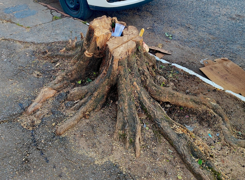 Foto: Mateus Rossato - 