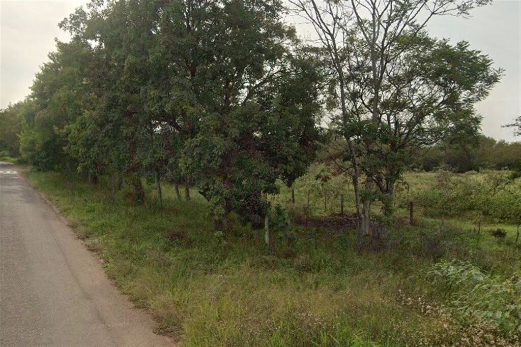 Dois cavalos são furtados em Santa Maria; Polícia investiga o caso