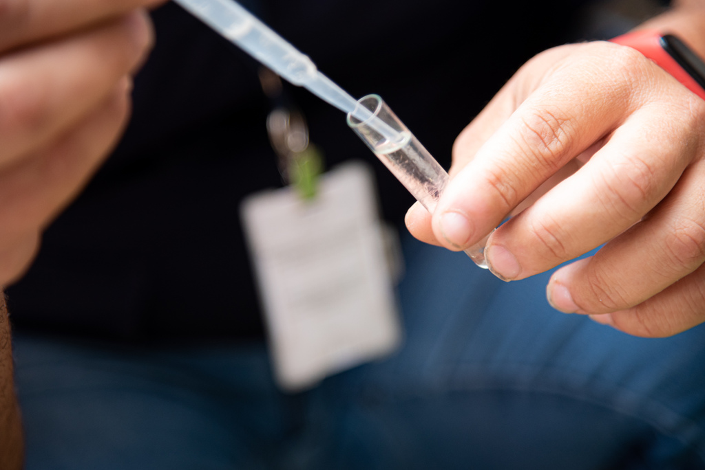 Doenças transmitidas por mosquitos serão “novo normal” na Europa