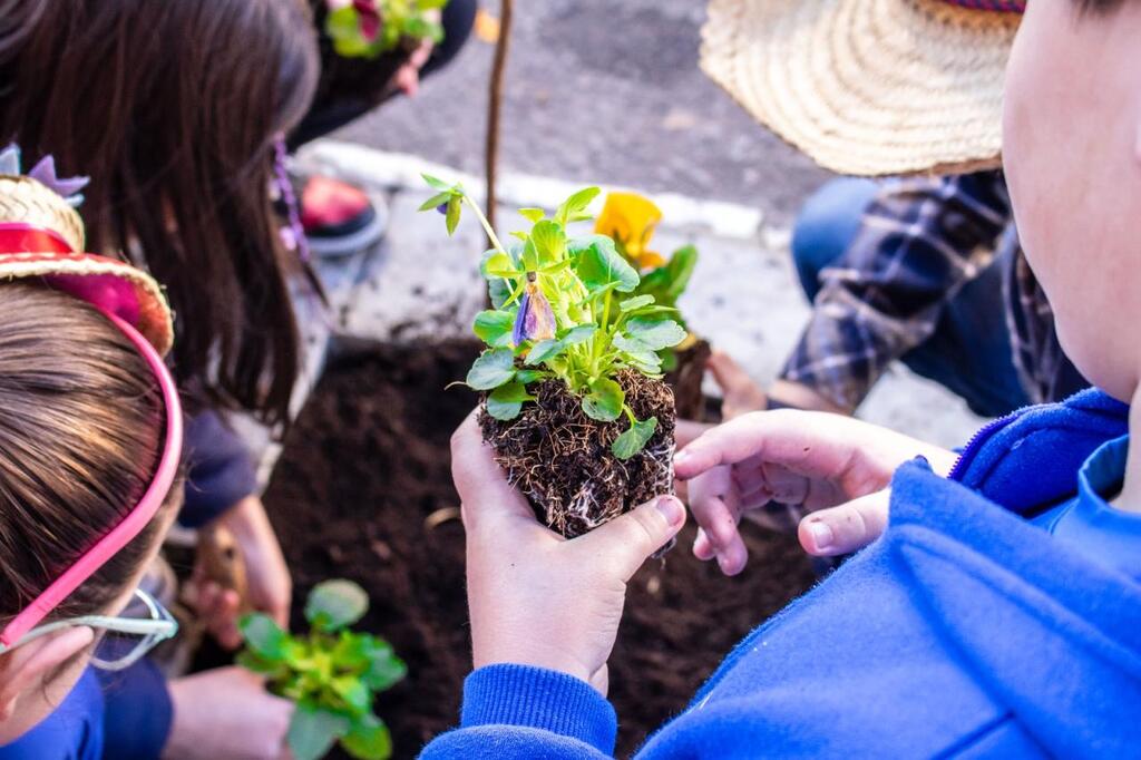 Colégio Fátima assume protagonismo em Santa Maria com práticas sustentáveis e criação do Comitê Escolar Ambiental