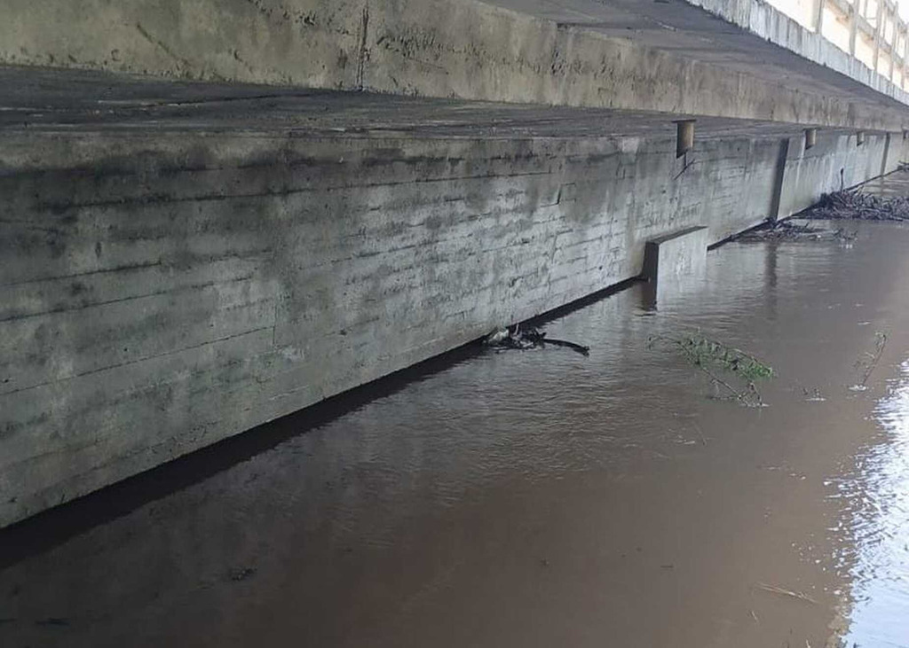 Foto: Dnit (Divulgação) - 