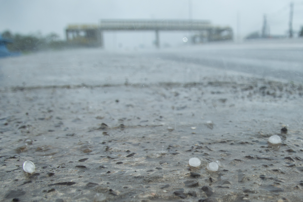 Chuva e vento forte causam alagamentos, quedas de árvores e interdição de rodovia no RS