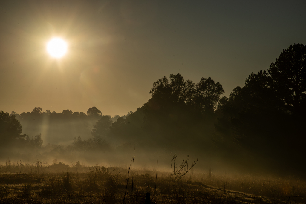 Foto: Vinicius Becker (Diário) - 