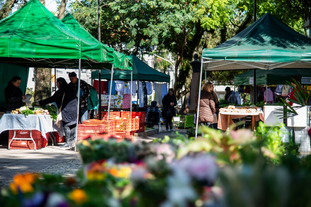 Santa Maria tem feiras com flores, frutas, verduras e produtos coloniais até sábado; veja o cronograma