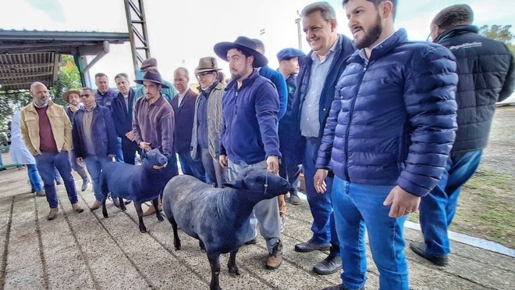 Foto: Fernando Dias (Seapi) - 