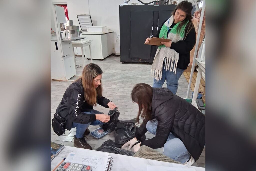 Polícia prende comerciante e recolhe mais de 160 quilos de alimentos impróprios para consumo em Formigueiro