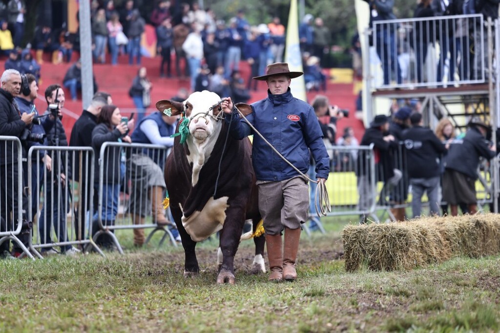 Foto:Vitor Rosa (Secom) - 