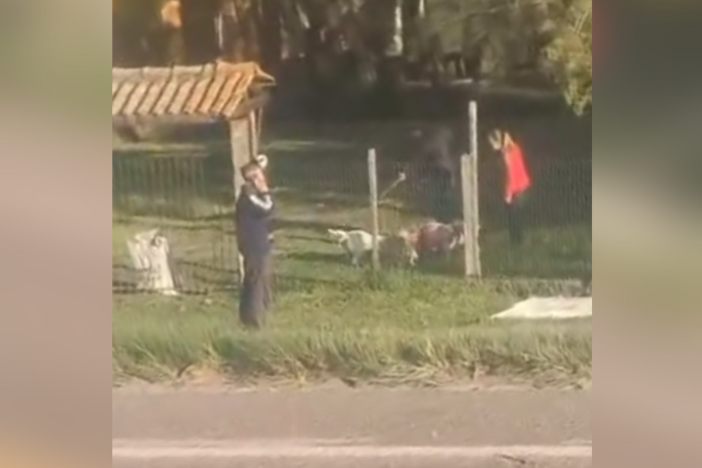 Foto: Reprodução - 