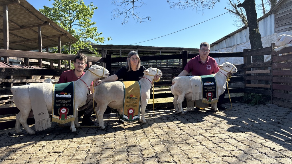 Os campeões da Expointer: tradição e genética garantem prêmios a produtores da região