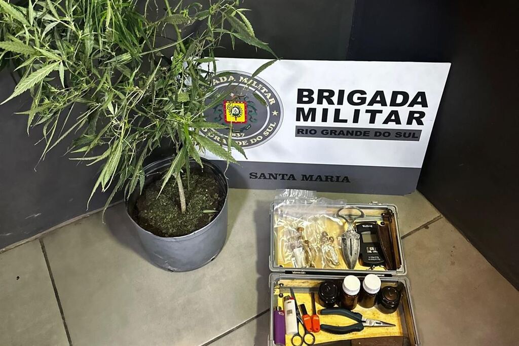 título imagem Brigada Militar vai verificar furto de energia e encontra pé de maconha dentro de apartamento em Santa Maria