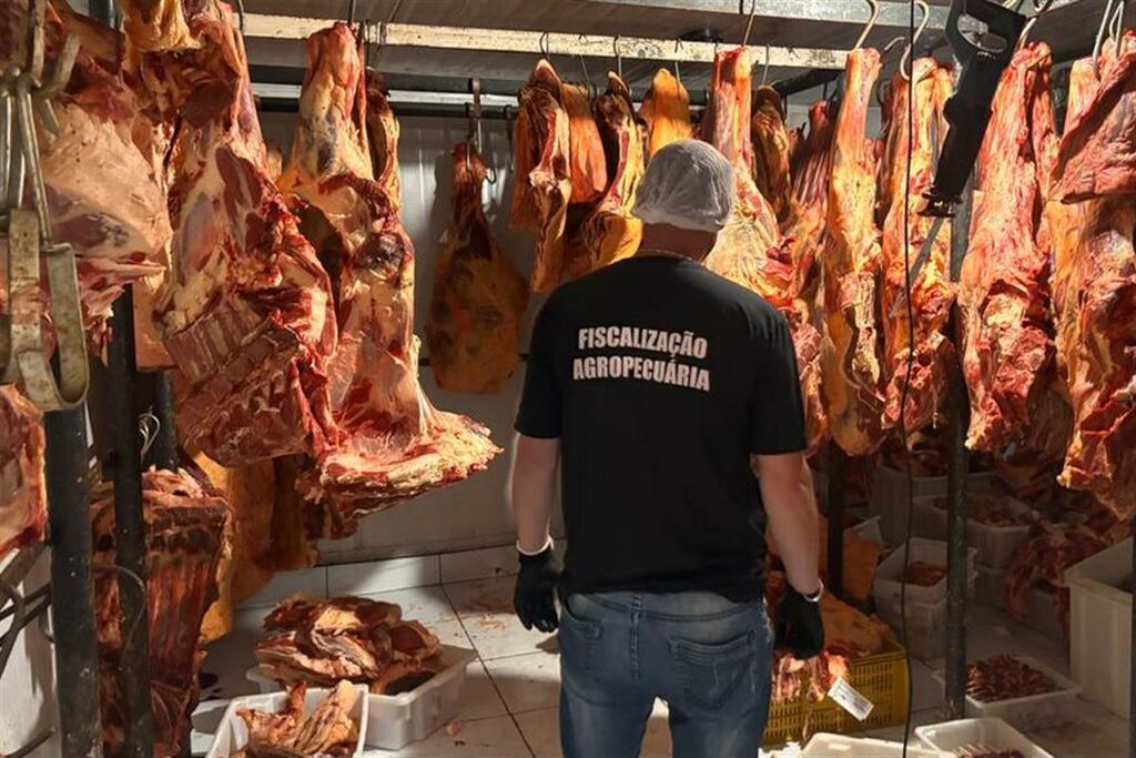 Força-tarefa interdita açougue e apreende mais de duas toneladas de alimentos impróprios para consumo em Santa Maria