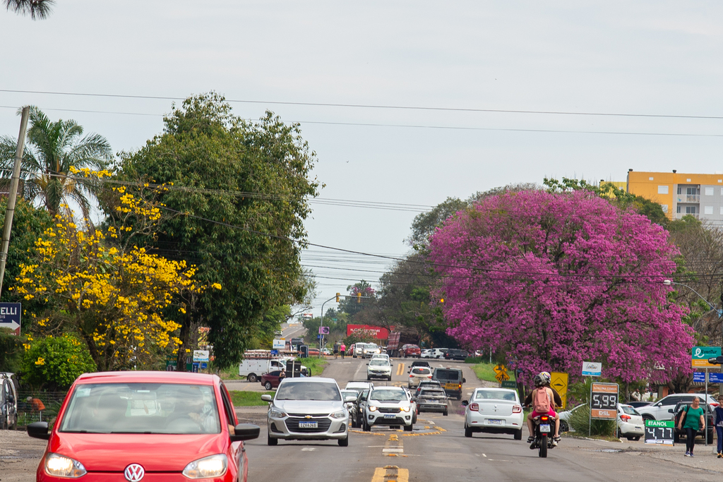 título imagem Para uma Santa Maria mais verde, município contará com estudo técnico da UFSM