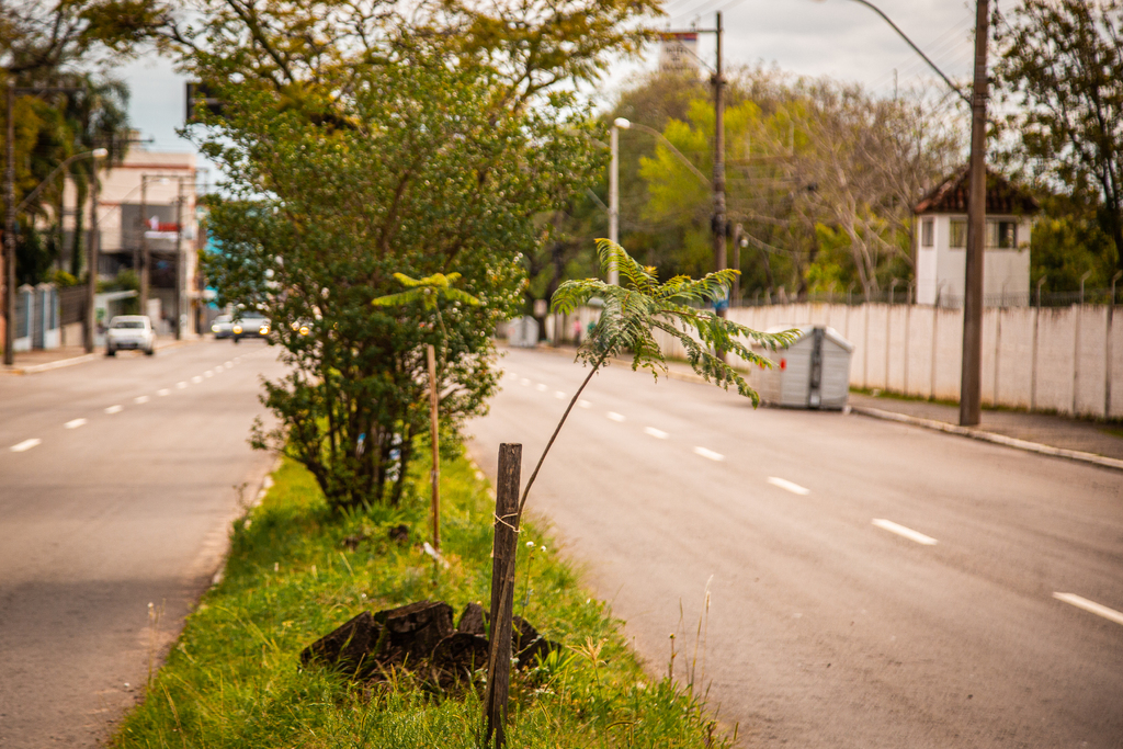 Foto: Nathália Schneider (Arquivo Diário) - 