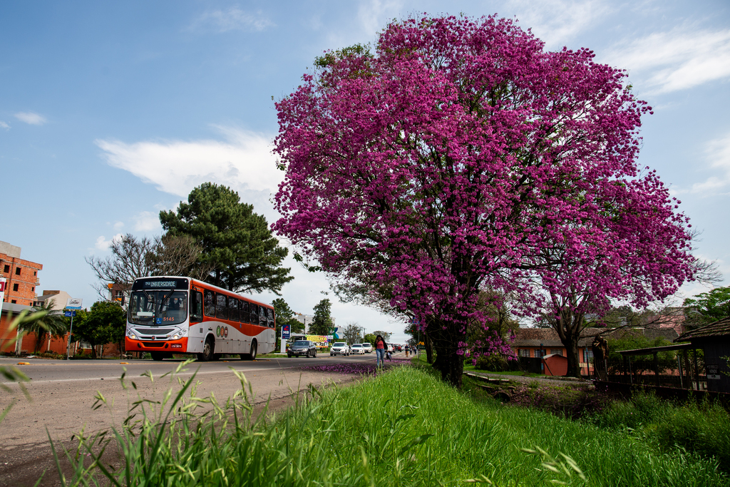 Foto: Vinicius Becker (Diário) - 