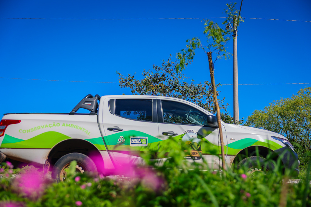 título imagem Avenida Dom Ivo Lorscheiter recebe o plantio de 30 mudas de árvores