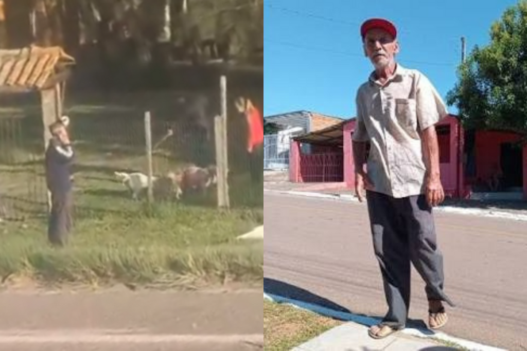 título imagem Tutora de pitbulls é indiciada após ataque que matou idoso em Minas do Leão