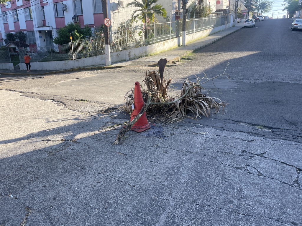 título imagem Há mais de um mês, usuários sinalizam buraco com galhos e cone no centro de Santa Maria