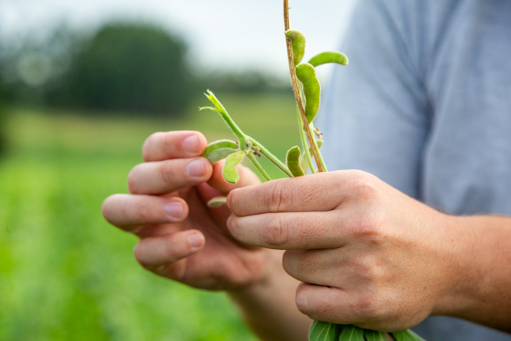 Semana Acadêmica de Agronomia começa na próxima segunda-feira com foco em ciência e sustentabilidade