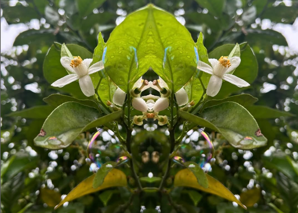 Exposições em Santa Maria destacam afeto e renovação na arte