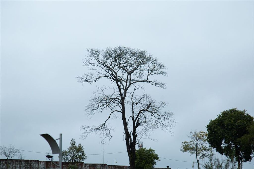 Foto: Vinicius Becker (Diário) - 