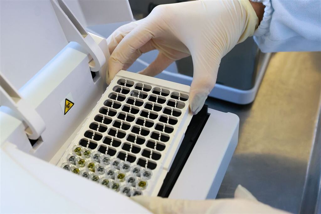 título imagem Número de casos de intoxicação por metanol passa de 40 no país; Ministério da Saúde cria centro para monitorar cenário