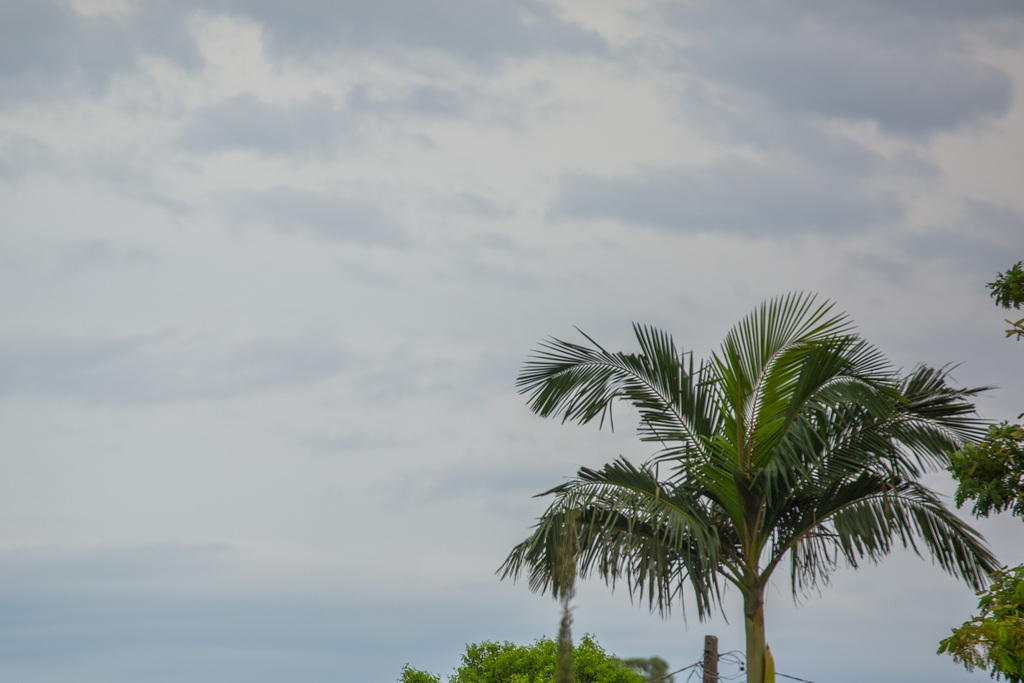 Fim de semana terá calor de 32°C, com alerta de temporal, alerta meteorologista