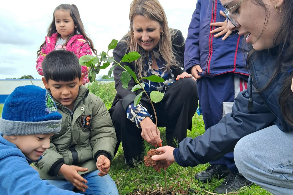 Fotos: Divulgação - 