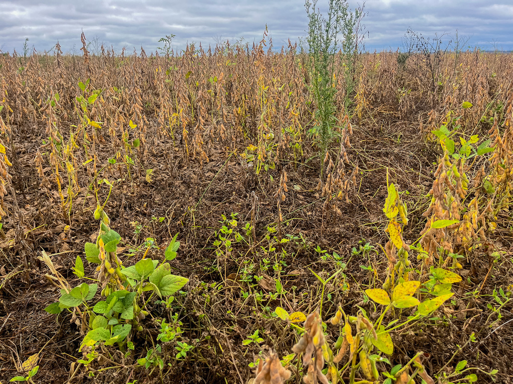 Foto Arquivo Diário - 