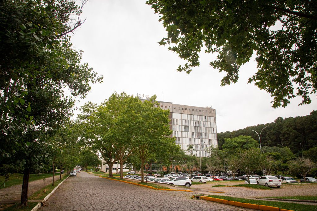 Foto: Nathália Schneider (Diário/Arquivo) - 