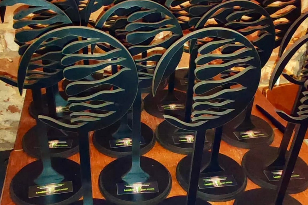 Foto: Divulgação - 