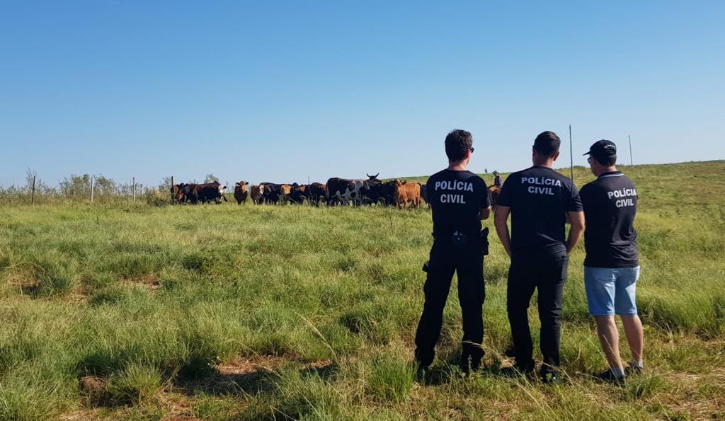 Foto: Polícia Civil/RS (divulgação) - 