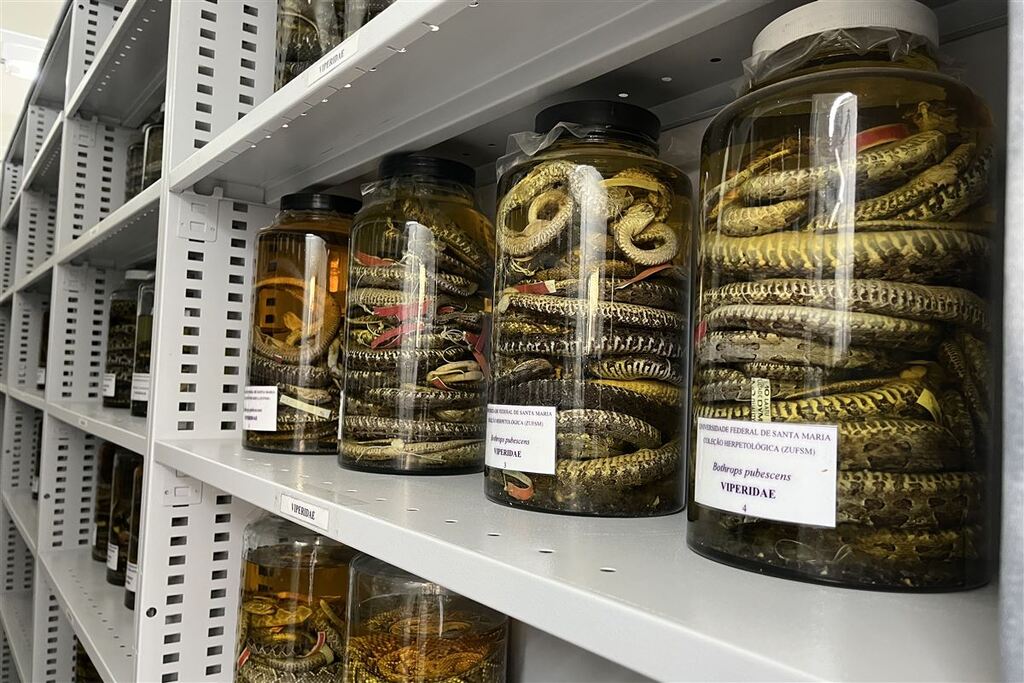 Foto:Vitor Zuccolo - 