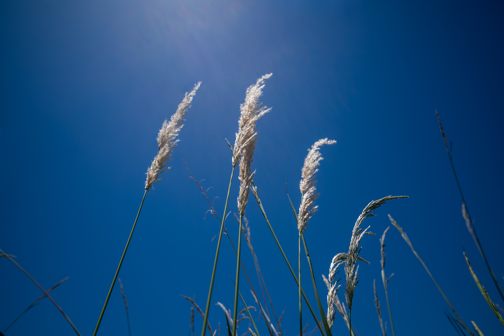 Foto: Vinicius Becker (Diário) - 