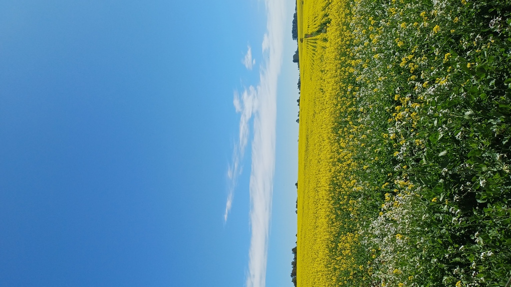 https://dsmcdn.cloud-bricks.net/fotos/15796762/file/desktop/20250826_124750.jpg?1762086096